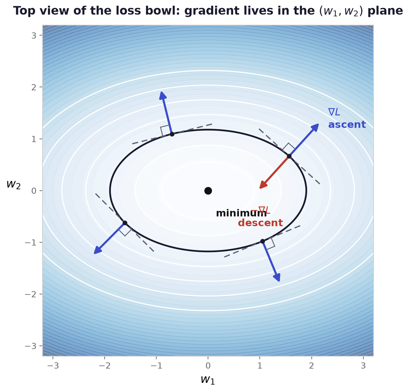 Gradients and Contours ascent or descent 2D